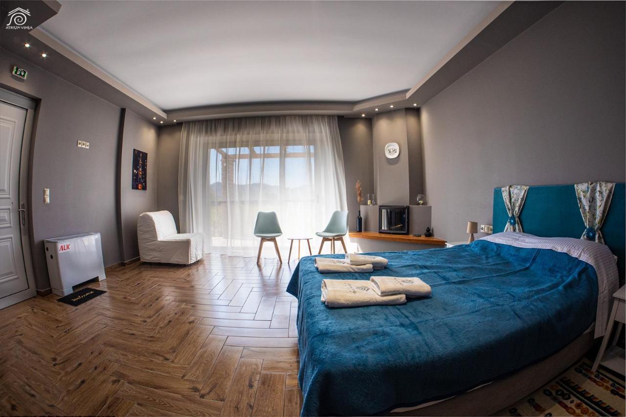 Atrium Vinea Brintziki Winery Appartement Smila Buitenkant foto