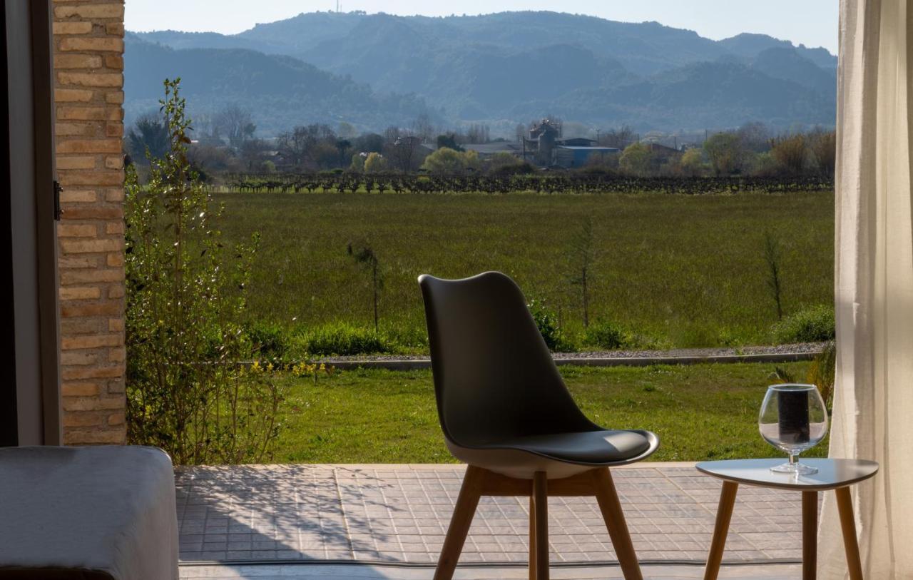 Atrium Vinea Brintziki Winery Appartement Smila Buitenkant foto