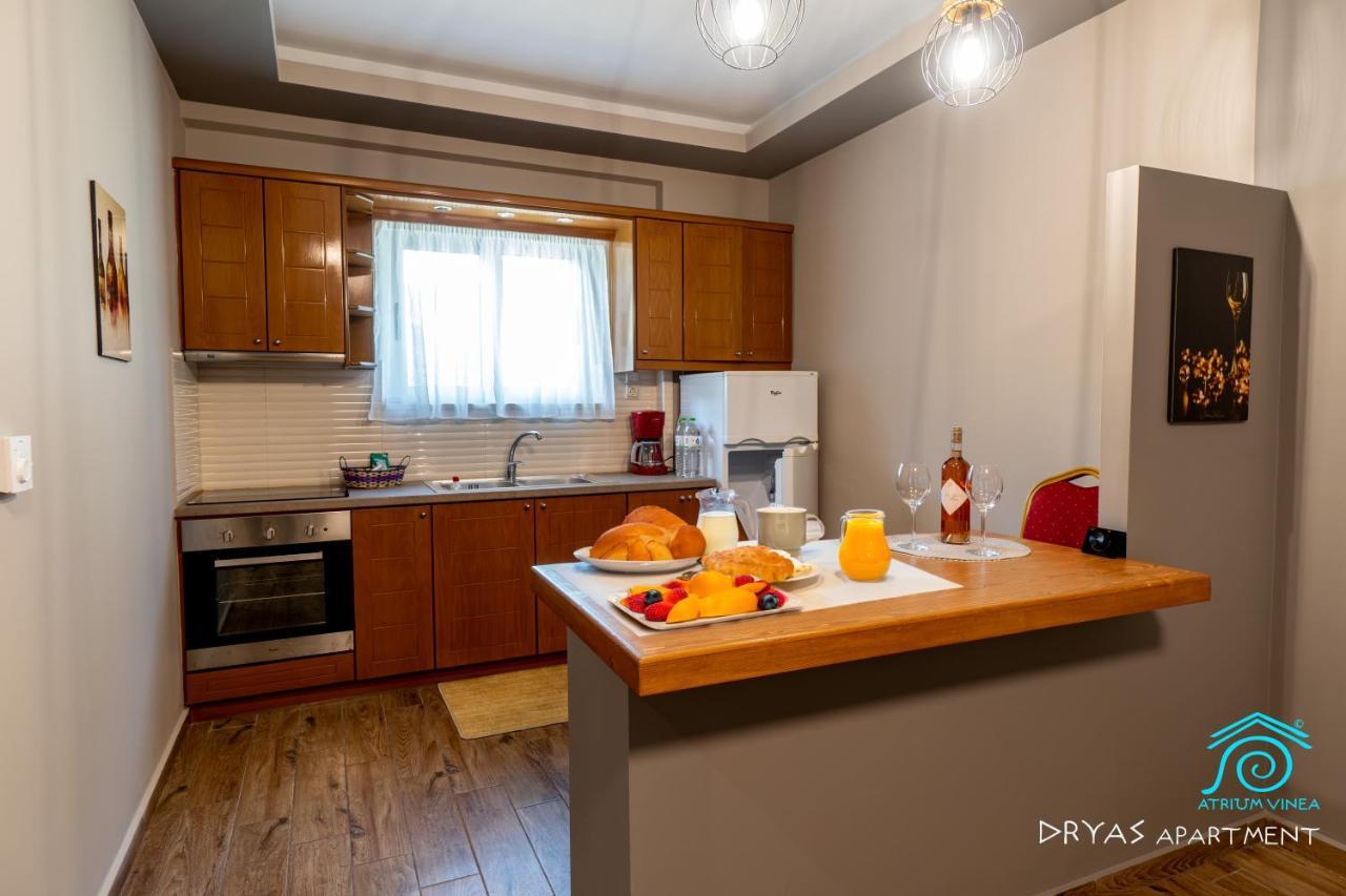 Atrium Vinea Brintziki Winery Appartement Smila Buitenkant foto